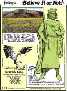 In 2016, for the first time in 16 years, Death Valley—the driest place in North America—bloomed with wildflowers! -------------------- Secretary birds of sub-Saharan Africa use their feet to stomp their prey to death! -------------------- King Edward I of England (1239-1307) was known as “Longshanks” because he stood over six feet tall—a giant at the time!