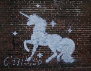 Unicorn Photo