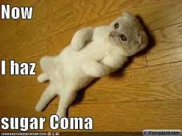 sugar addict