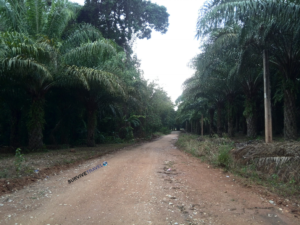 things to do in Khao Lak - Country Side - Survive Travel