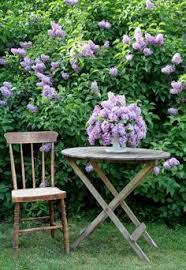 honeygarden2