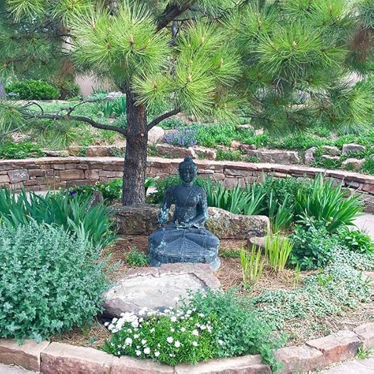 13188070_1728452587398094_257633446_n