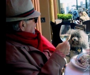 Michael-savage-teddy