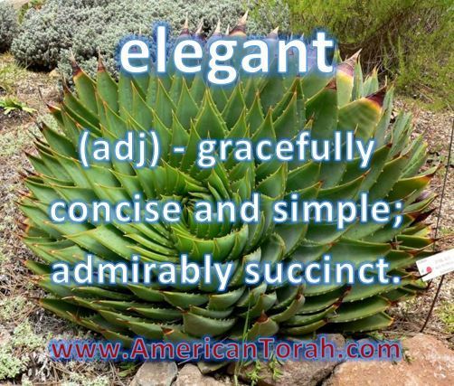 elegant - gracefully concise and simple; admirably succinct