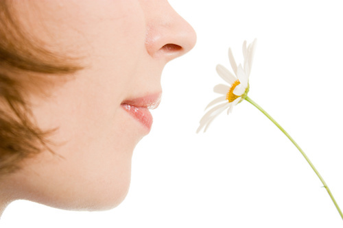 Smelling Design.jpeg