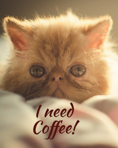 I need coffee sleepy cat