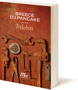 pancake_3d