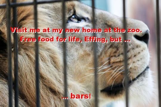 Lee in zoo