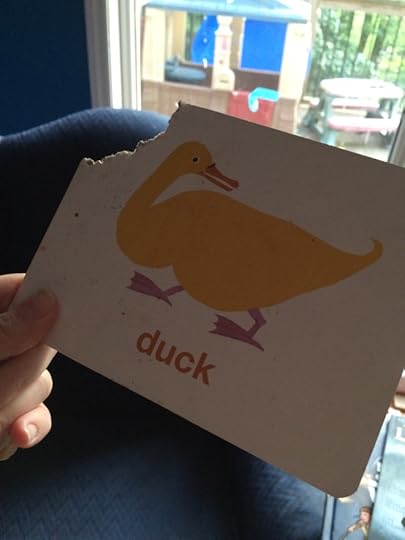 a duck flashcard with a large bite nibbled out of the corner