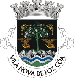V N Foz Coa Brasão.png
