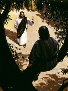 zacchaeus2