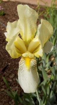 016