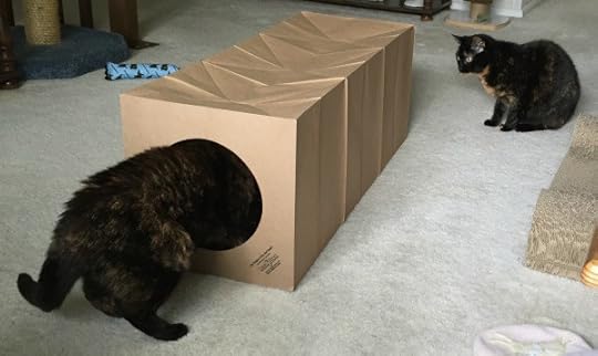 cat-tunnel