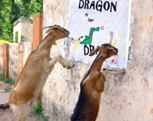 PhotoFunia-1459938979