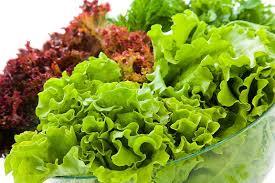 Image result for lettuce