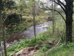 IMG_1893