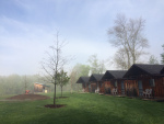 Misty morning
