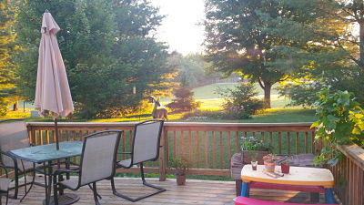 Morning Prayer Space with Deer