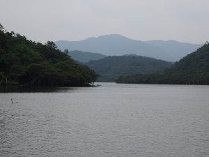 DSC07316