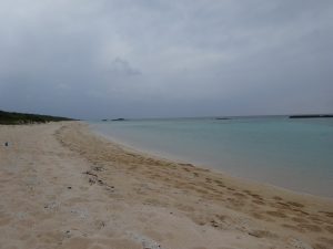 DSC07360