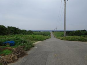 DSC07365