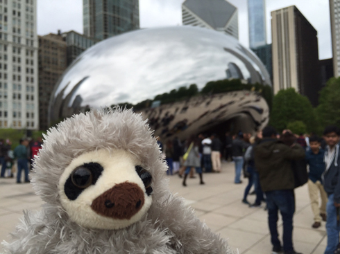 Sloth Bean