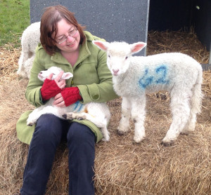 lambs_looking_01