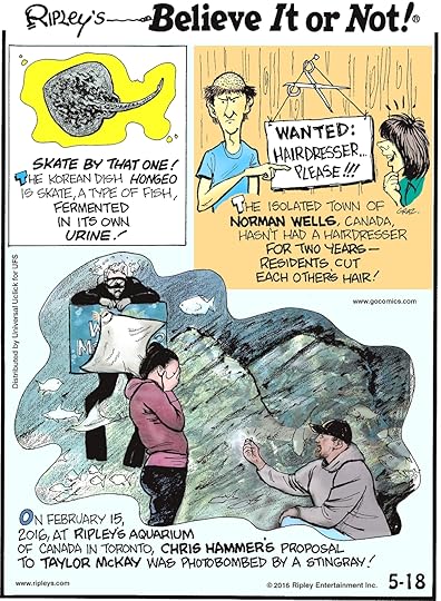 Skate by that one! The Korean dish hongeo is a skate, a type of fish, fermented in its own urine! -------------------- The isolated town of Norman Wells, Canada, hasn’t had a hairdresser for two years—residents cut each other’s hair! -------------------- On February 15, 2016, at the Ripley’s Aquarium in Toronto, Chris Hammer’s proposal to Taylor McKay was photobombed by a stingray!