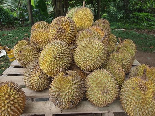 Durian Fruit