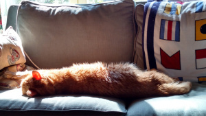 IMG_20160505_161739272_HDR