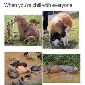 chill-with-everyone