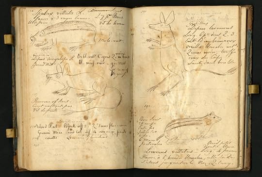 Audubon