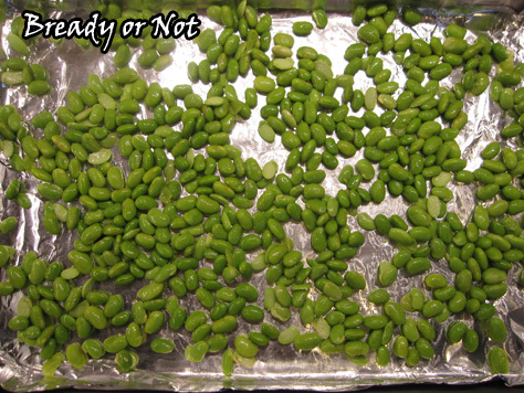 Bready or Not: Roasted Edamame 