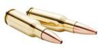 ammo