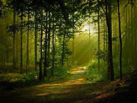 light5