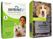 SentinelProductImage2