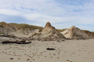 windswept beach