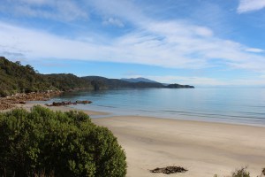 Stewart Island beach