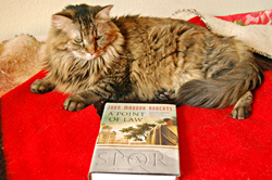 Kel Reads on Red