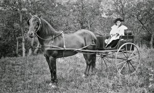 Miss Terrell in Horse-drawn Carriage, 1895