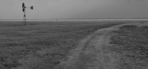 Dirt_road_towards_the_east_by_the_windmill_of_the_Ndara_Borehole_in_the_Tsavo_East_National_Park,_Kenya