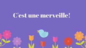 C'est une merveille