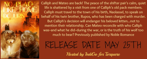 No Place Like Home Banner