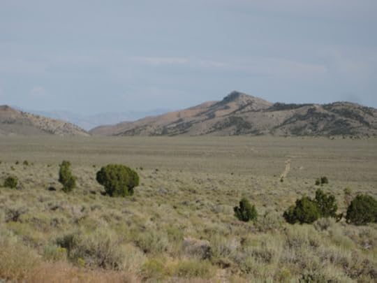 clifton Flat-most pristine part of trail as it was