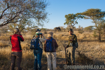 Things to do in Kruger National Park