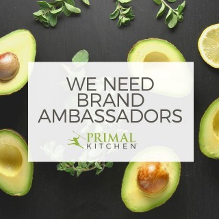 ambassadors