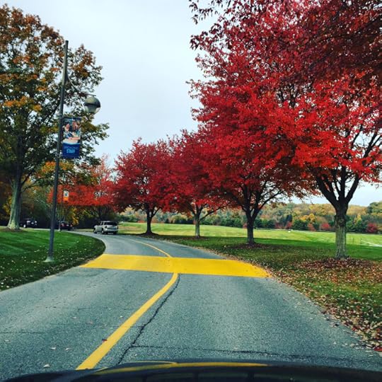 The approach to campus | Stevenson University | October 27, 2015
