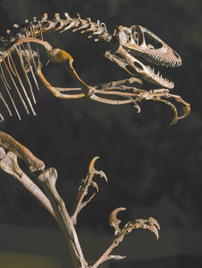 Deinonychus