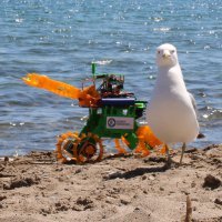 robotmissions_seagull