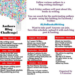Blog Challenge300